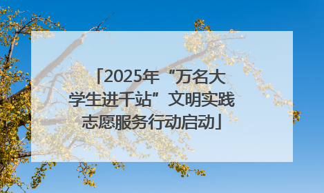 2025年“万名大学生进千站”文明实践志愿服务行动启动