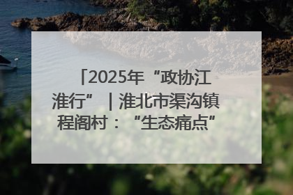 2025年“政协江淮行”｜淮北市渠沟镇程阁村：“生态痛点”变“生态景观”