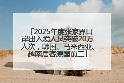 2025年度张家界口岸出入境人员突破20万人次，韩国、马来西亚、越南居客源国前三