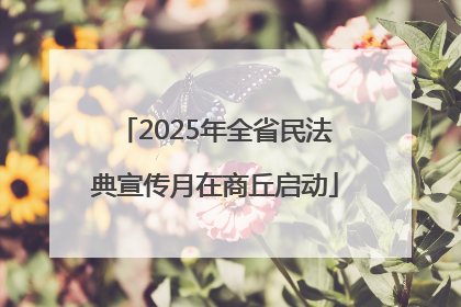 2025年全省民法典宣传月在商丘启动