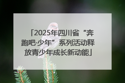 2025年四川省“奔跑吧·少年”系列活动释放青少年成长新动能