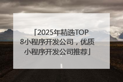 2025年精选TOP8小程序开发公司，优质小程序开发公司推荐