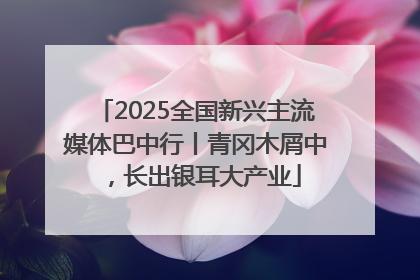 2025全国新兴主流媒体巴中行丨青冈木屑中，长出银耳大产业