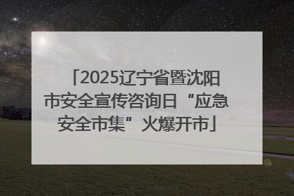 2025辽宁省暨沈阳市安全宣传咨询日“应急安全市集”火爆开市