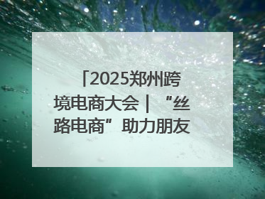 2025郑州跨境电商大会｜“丝路电商”助力朋友圈再扩容