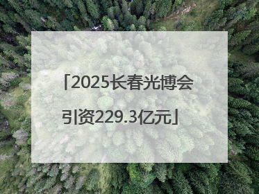 2025长春光博会引资229.3亿元