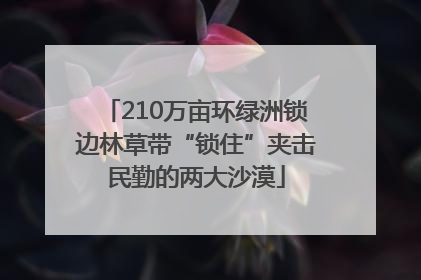 210万亩环绿洲锁边林草带“锁住”夹击民勤的两大沙漠