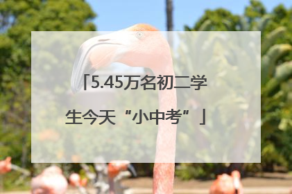5.45万名初二学生今天“小中考”