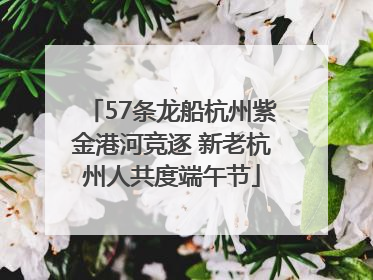 57条龙船杭州紫金港河竞逐 新老杭州人共度端午节