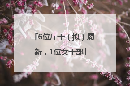 6位厅干（拟）履新，1位女干部