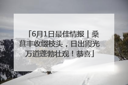 6月1日最佳情报｜桑葚丰收缀枝头，日出霞光万道蓬勃壮观！恭喜