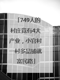 749人的村庄竟有4大产业，小官村一村多品铺就富民路