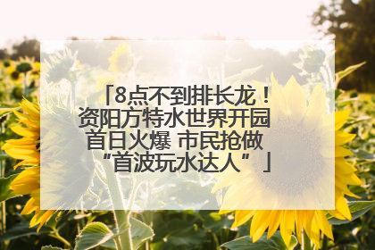 8点不到排长龙！资阳方特水世界开园首日火爆 市民抢做“首波玩水达人”