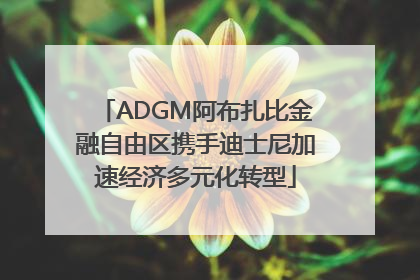 ADGM阿布扎比金融自由区携手迪士尼加速经济多元化转型