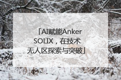 AI赋能Anker SOLIX，在技术无人区探索与突破